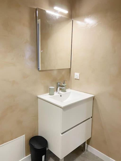 Apartament Studio Le Marengo Dans Le Centre De St Etienne Saint-Etienne  Zewnętrze zdjęcie
