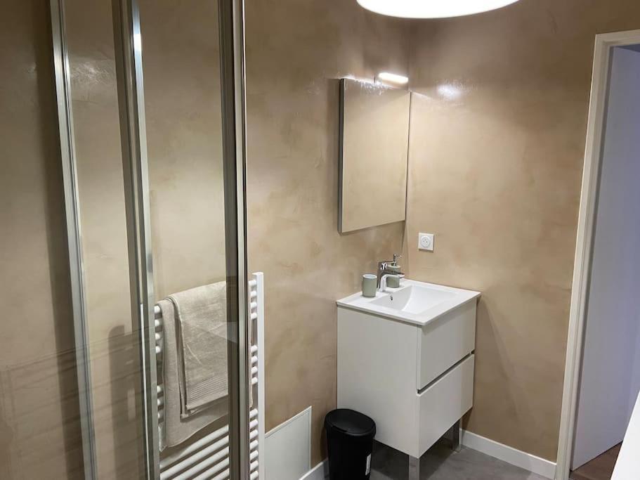 Apartament Studio Le Marengo Dans Le Centre De St Etienne Saint-Etienne  Zewnętrze zdjęcie